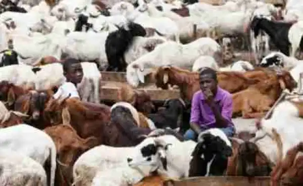 FG Declares Tuesday, Wednesday, Public Holidays